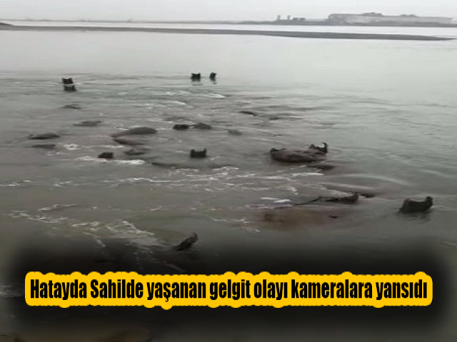 Hatayda Sahilde yaşanan gelgit olayı kameralara yansıdı