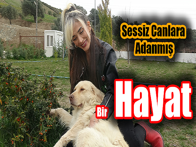 Hatayda Sessiz canlara adanmış bir hayat
