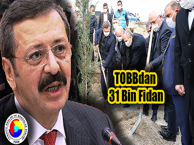 TOBBdan Belendeki yangınlarda zarar gören alanlara 31 bin fidan