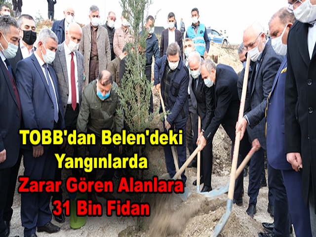 TOBB'dan Belen'deki Yangınlarda Zarar Gören Alanlara 31 Bin Fidan