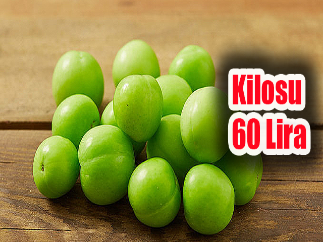 Hatayda can eriğinin kilosu 60 liraya düştü