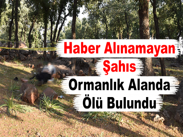 Haber Alınamayan Şahıs Ormanlık Alanda Ölü Bulundu