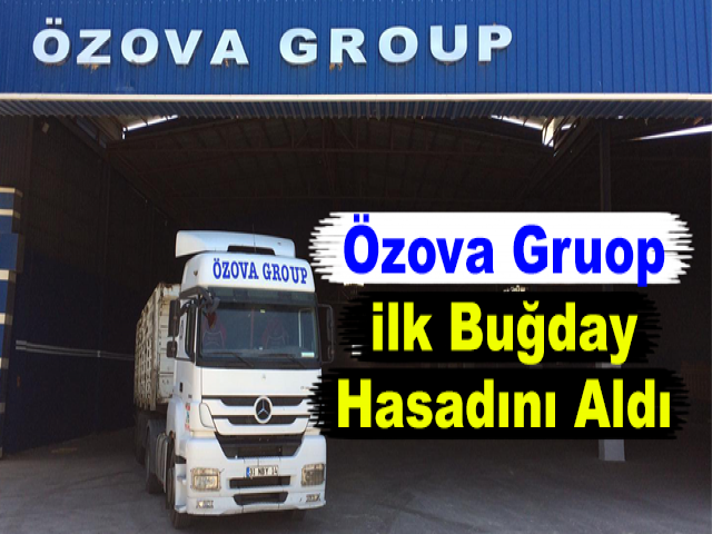 Özova Gruop ilk Buğday Hasadını Aldı
