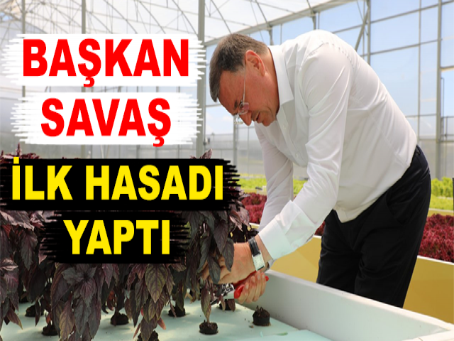 BAŞKAN SAVAŞ İLK HASADI YAPTI