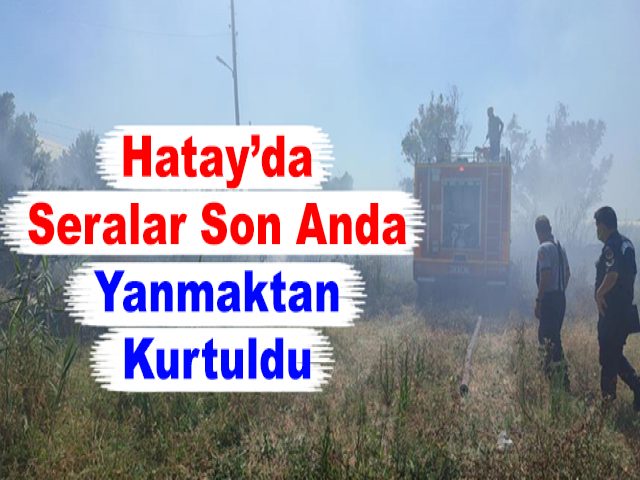 Hatay’da Seralar Son Anda Yanmaktan Kurtuldu