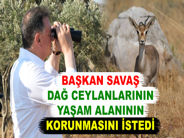 HBB BAŞKANI SAVAŞ DAĞ CEYLANLARININ YAŞAM ALANININ KORUNMASINI İSTEDİ
