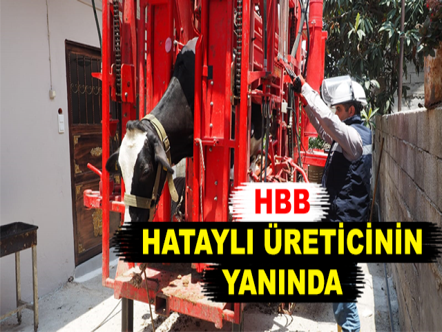 HBB HATAYLI ÜRETİCİNİN YANINDA