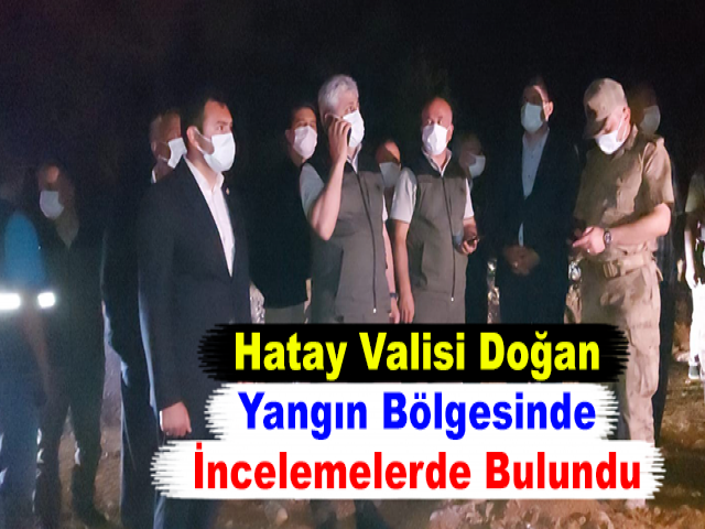 Hatay Valisi Doğan Yangın Bölgesinde İncelemelerde Bulundu