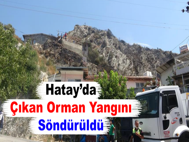 Hatay’da Çıkan Orman Yangını Söndürüldü