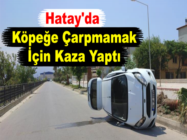 Hatay'da Köpeğe Çarpmamak İçin Kaza Yaptı