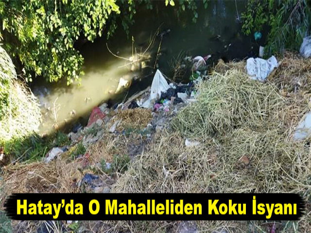 Hatay’da O Mahalleliden Koku İsyanı