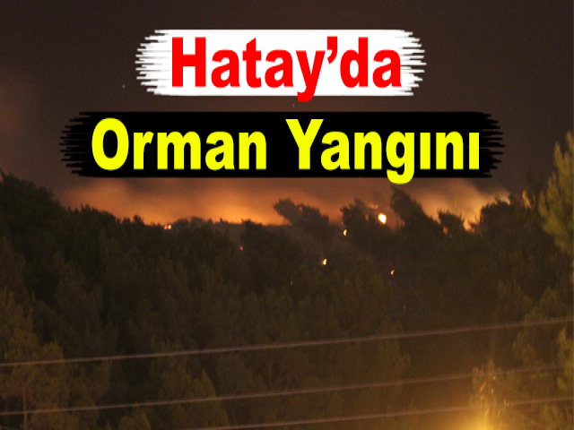 Hatay’da Orman Yangını