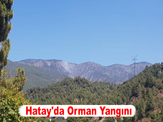 Hatay'da Orman Yangını