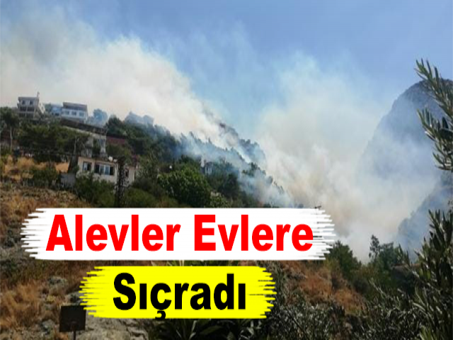Hatay'da Orman Yangını: Alevler Evlere Sıçradı