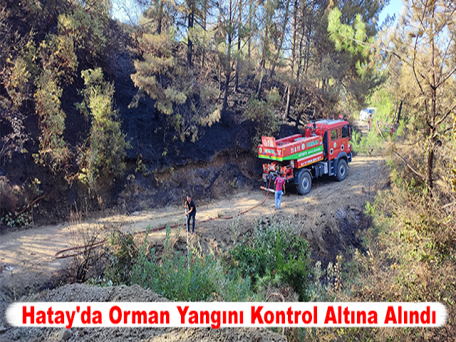 Hatay'da Orman Yangını Kontrol Altına Alındı