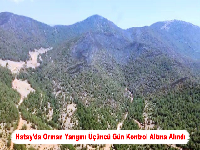 Hatay’da Orman Yangını Üçüncü Gün Kontrol Altına Alındı