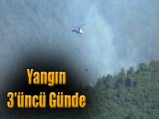 Hatay’da orman yangınına 3'üncü günde de müdahale sürüyor