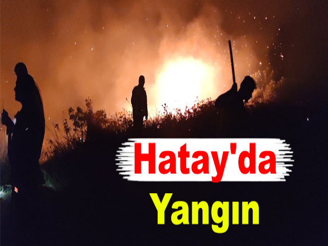 Hatay'da Yangın