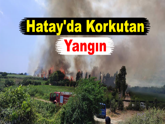 Hatay'da Yangın