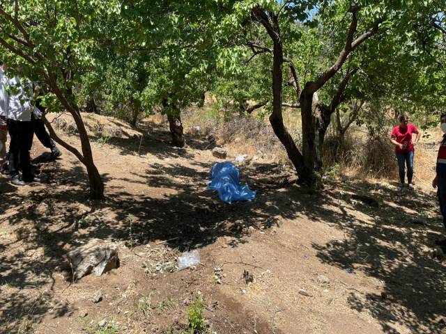 Hatayda yaşlı adam ölü bulundu