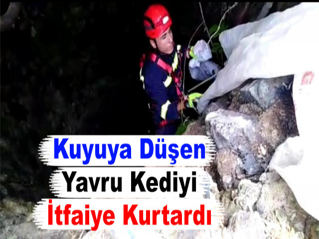 Kuyuya Düşen Yavru Kediyi İtfaiye Kurtardı