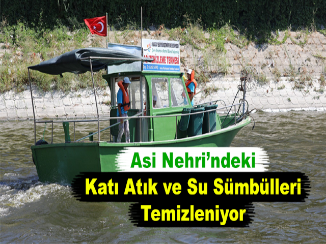 Asi Nehri’ndeki Katı Atık ve Su Sümbülleri Temizleniyor