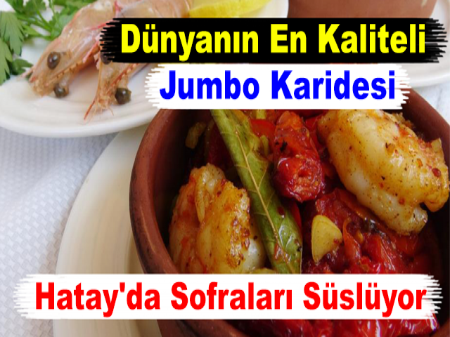 Dünyanın En Kaliteli Jumbo Karidesi Hatay'da Sofraları Süslüyor