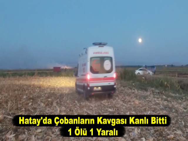 Hatay'da Çobanların Kavgası Kanlı Bitti: 1 Ölü, 1 Yaralı
