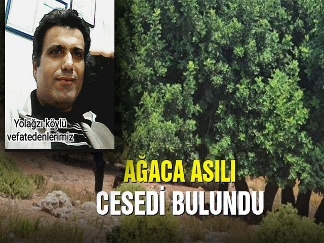 Hatayda Kayıp Adam Ağaçta Asılı Bulundu