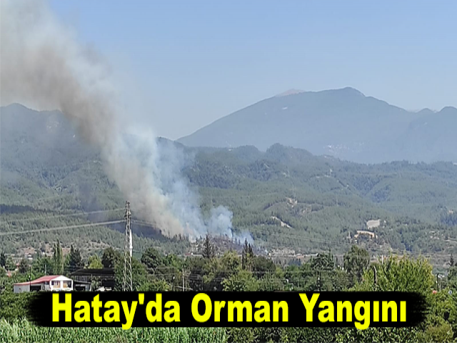 Hatay'da Orman Yangını
