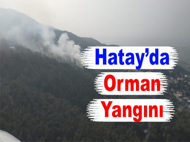 Hatay’da Orman Yangını