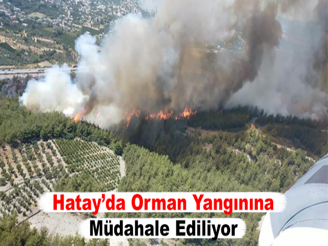 Hatay’da Orman Yangınına Müdahale Ediliyor