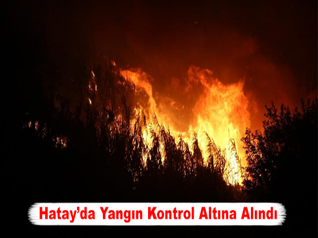Hatay’da Otluk Yangını Kontrol Altına Alındı