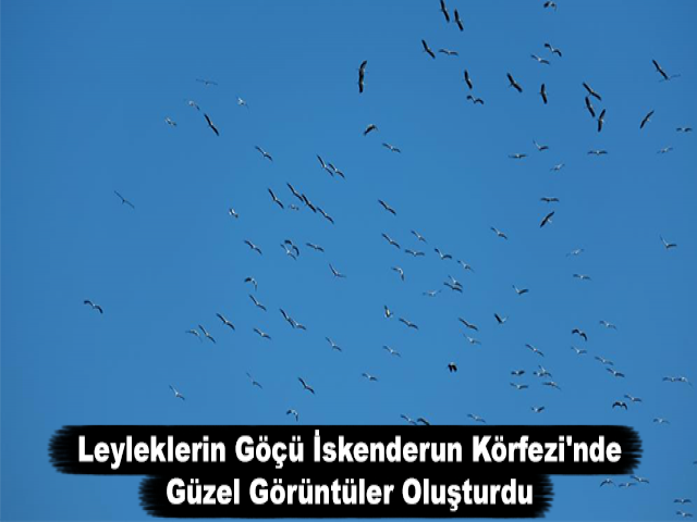 Leyleklerin Göçü İskenderun Körfezi'nde Güzel Görüntüler Oluşturdu