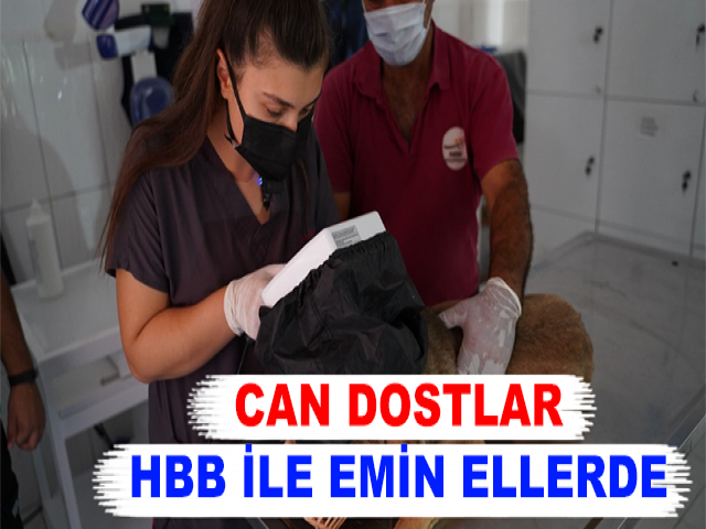 CAN DOSTLAR HBB İLE EMİN ELLERDE