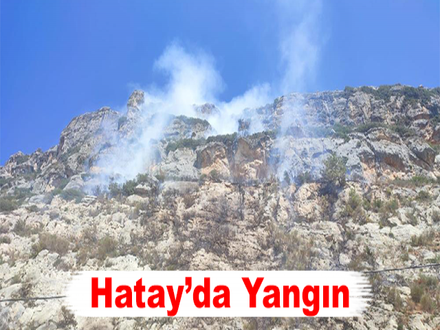 Hatay’da Yangın