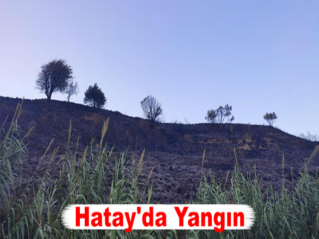 Hatay'da Yangın