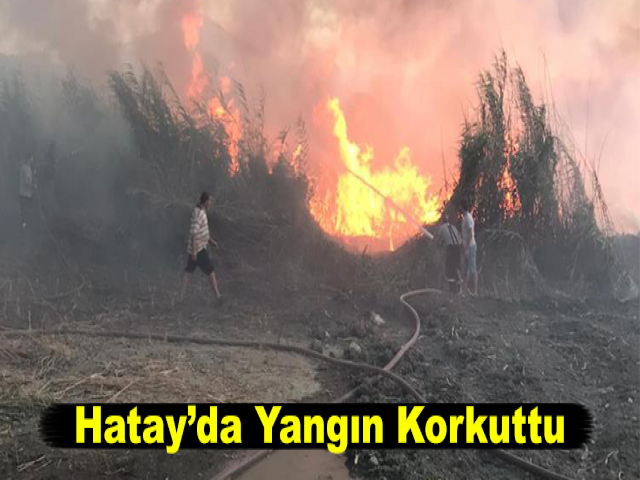 Hatay’da Yangın Korkuttu