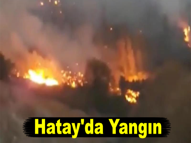 Hatay'da Yangın
