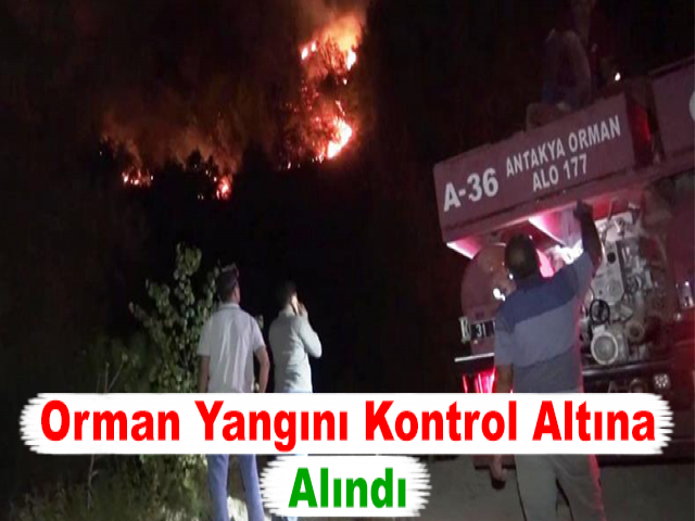 Hatay’daki Orman Yangını Kontrol Altına Alındı