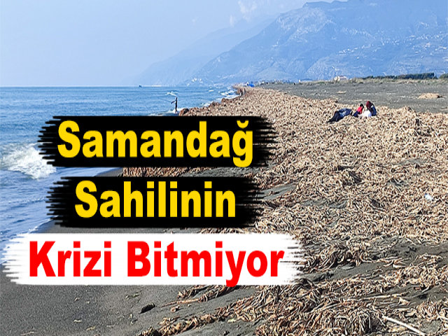 Samandağ Sahilinin Krizi Bitmiyor