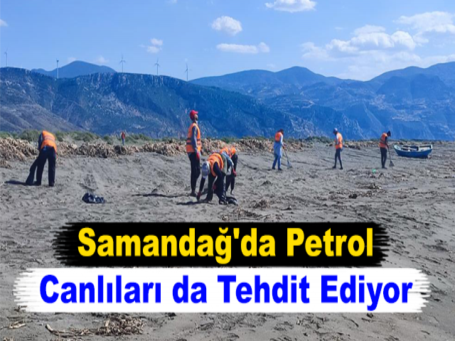 Samandağ'da Petrol Canlıları da Tehdit Ediyor