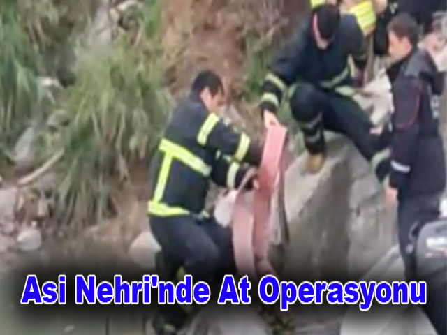 Asi Nehri'nde At Operasyonu