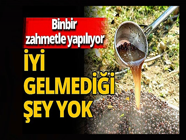 Hatayda Defne yağı litresi 100 ila 120 lira