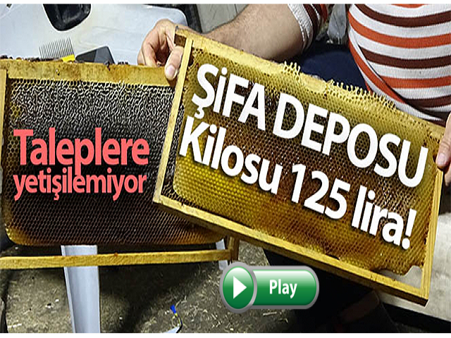Hatayda Üretilen O Balın Kilosu 125 Lira