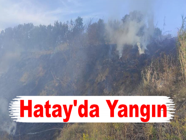 Hatay'da Yangın
