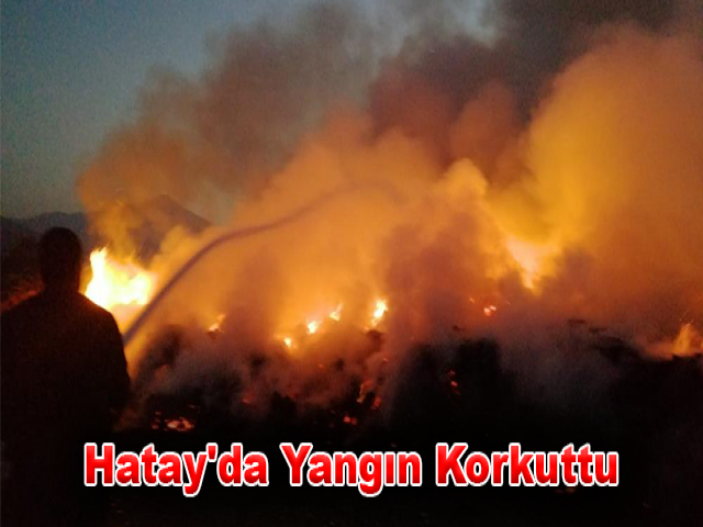 Hatay'da Yangın Korkuttu