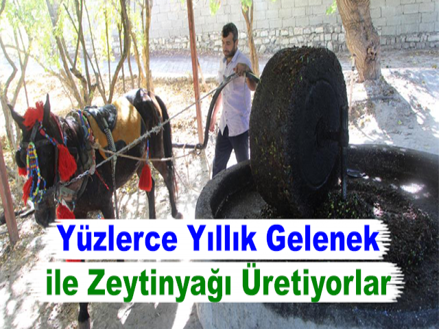Yüzlerce Yıllık Gelenek ile Zeytinyağı Üretiyorlar