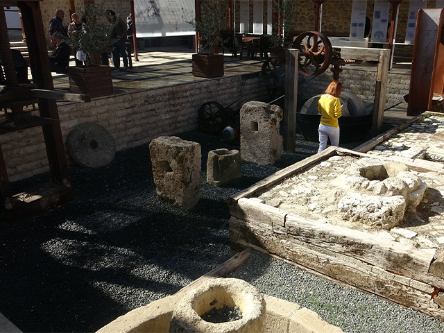 Zeytin ve Zeytinyağı Müzesine ziyaretçi akını