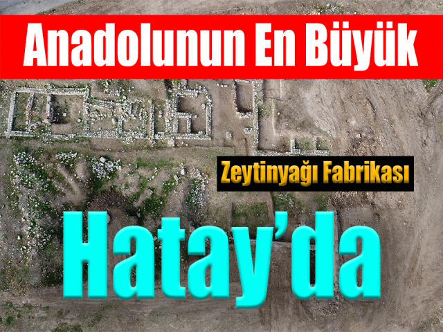 Anadolunun en büyük zeytinyağı fabrikası Hatay'da